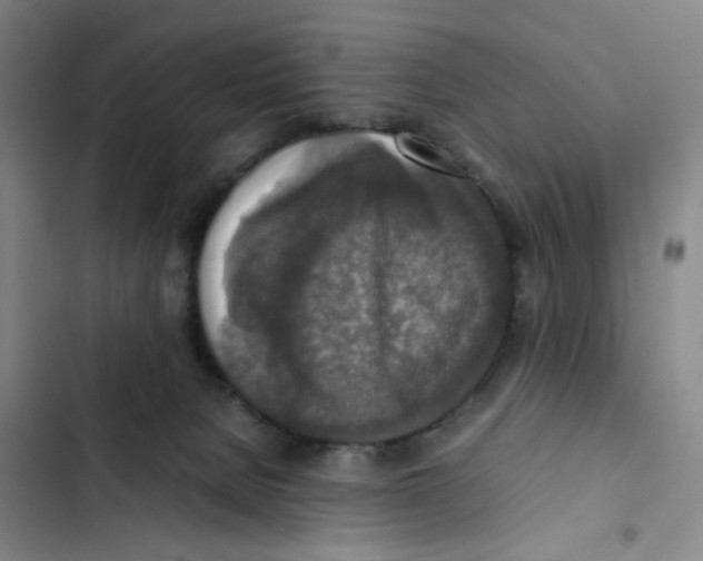 X0000102860080200809151221