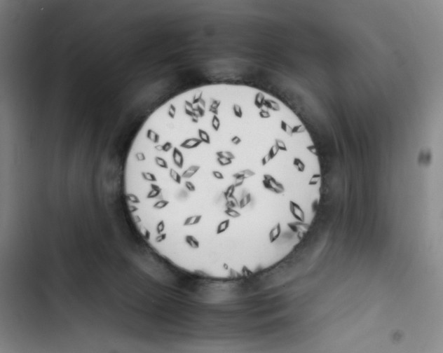 X0000102860081200809151221