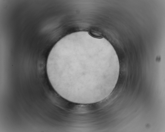 X0000102860082200809151221