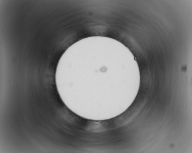 X0000102860083200809151221
