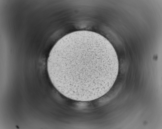X0000102860085200809151221