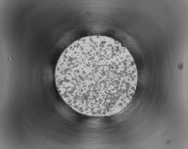 X0000102860086200809151221