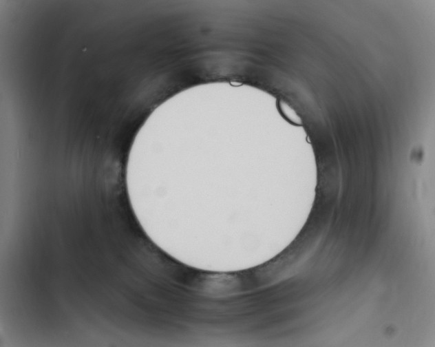 X0000102860087200809151221