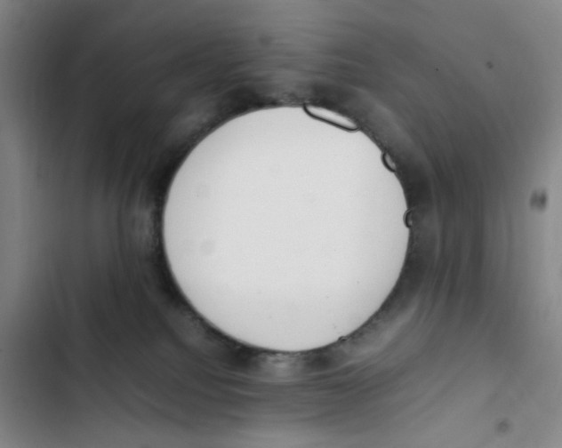 X0000102860088200809151221
