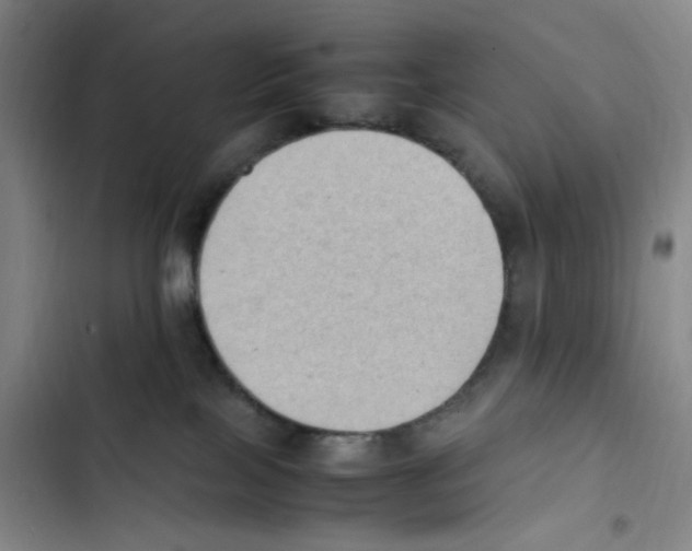 X0000102860089200809151221