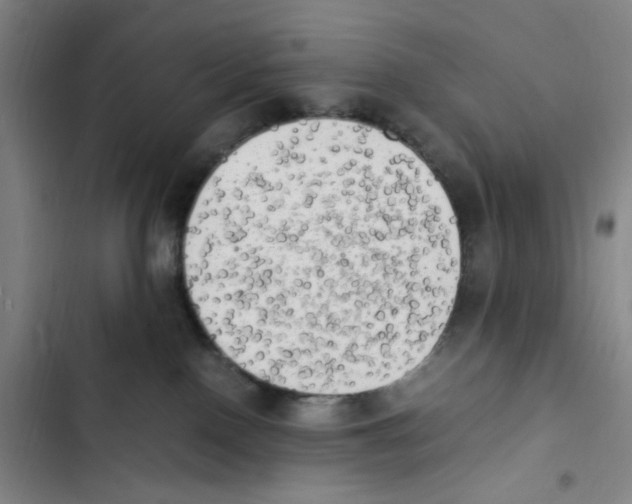 X0000102860090200809151221