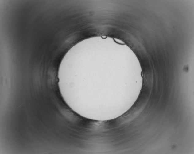 X0000102860092200809151221