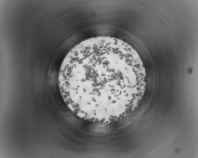 X0000102860093200809151221