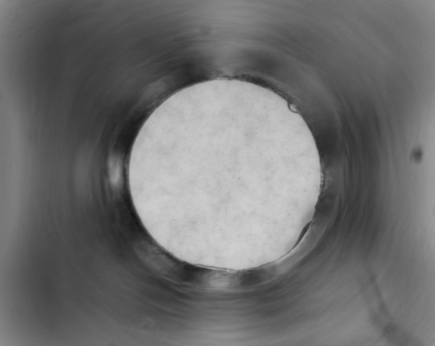 X0000102860094200809151221