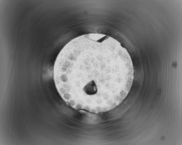 X0000102860095200809151221