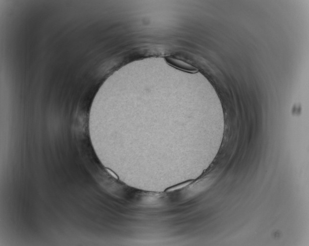 X0000102860096200809151221