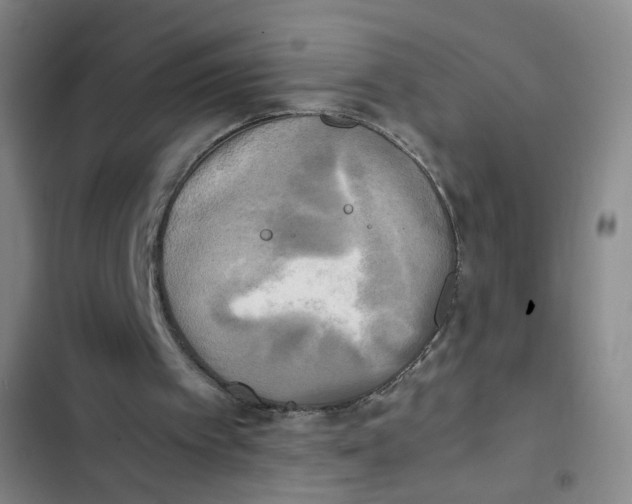 X0000102860097200809151221