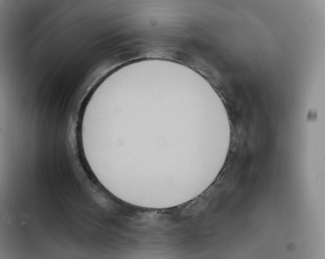 X0000102860098200809151221