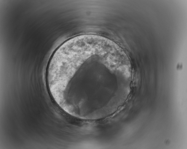 X0000102860099200809151221