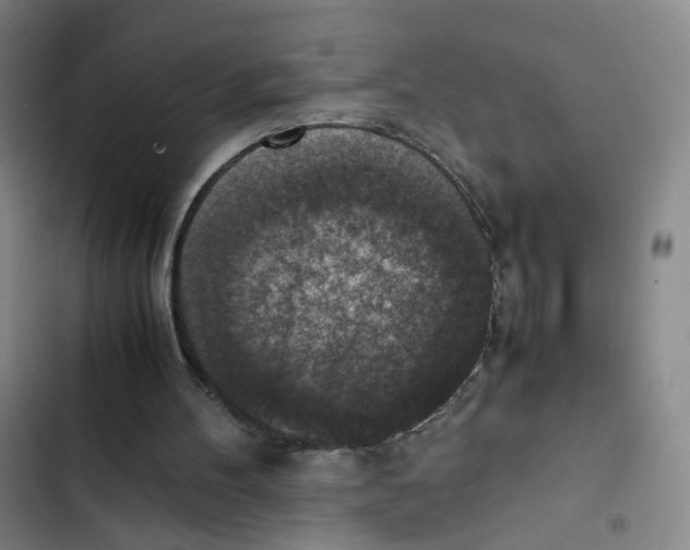 X0000102860100200809151221