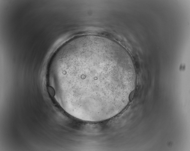 X0000102860101200809151221