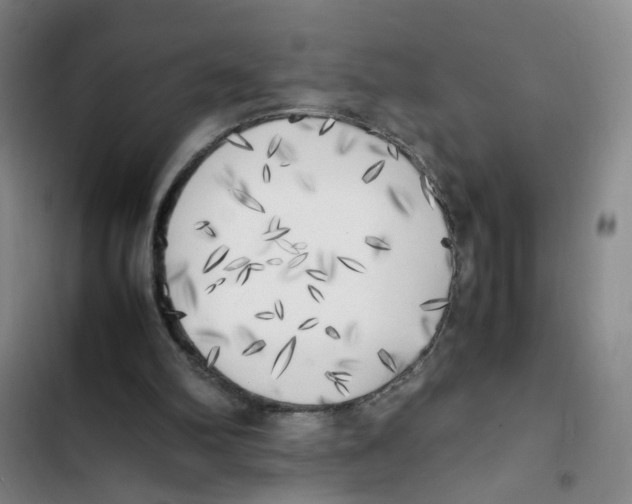 X0000102860102200809151221