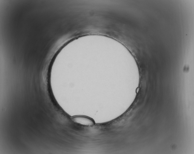 X0000102860103200809151221