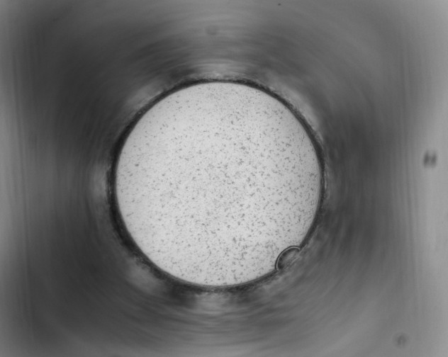 X0000102860105200809151220