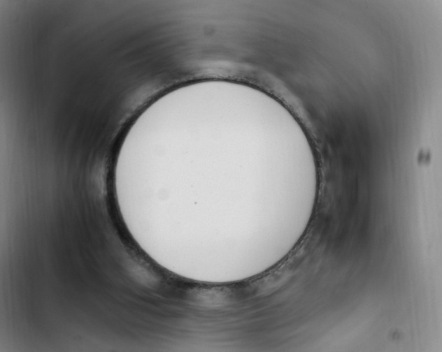 X0000102860106200809151220