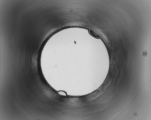 X0000102860108200809151220