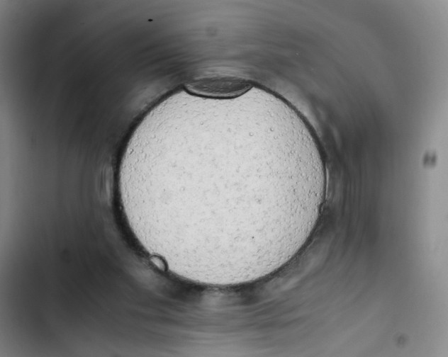 X0000102860109200809151220