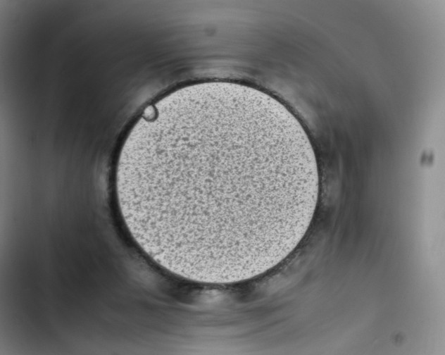 X0000102860111200809151220