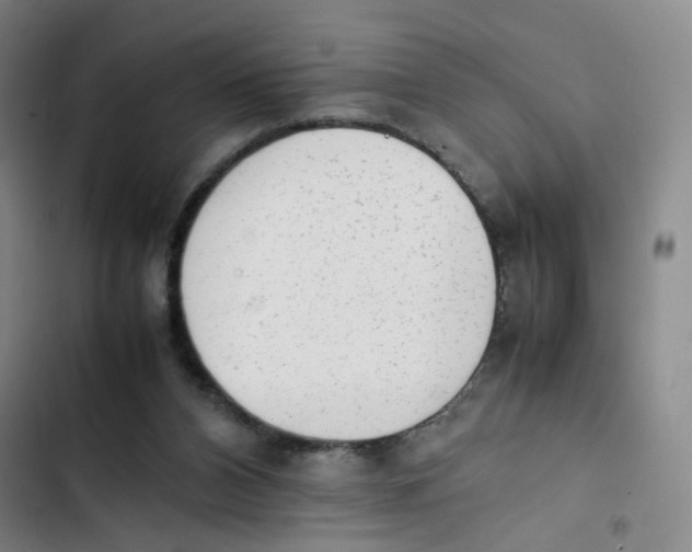 X0000102860112200809151220