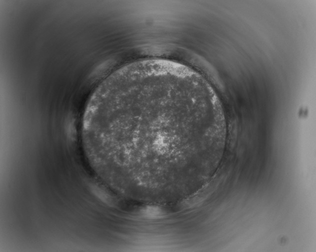 X0000102860114200809151220