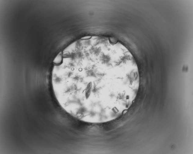 X0000102860115200809151220