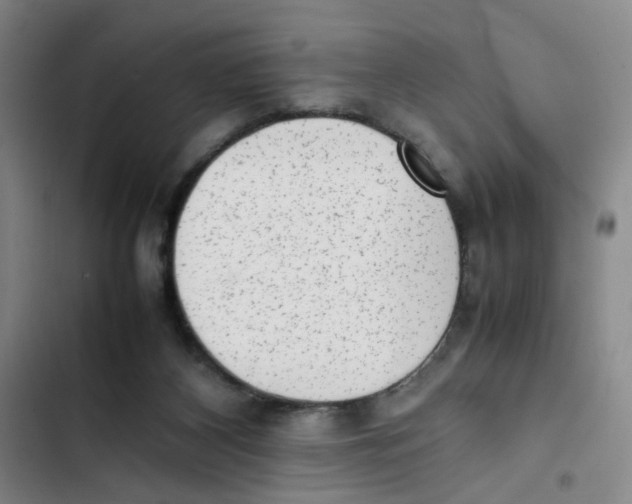 X0000102860116200809151220
