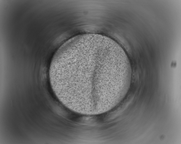 X0000102860117200809151220