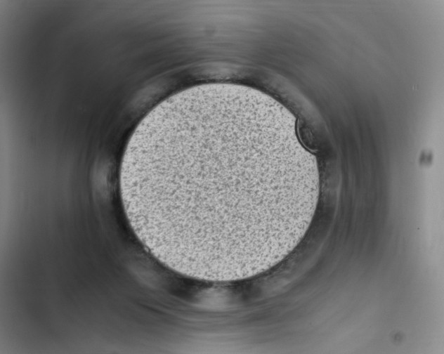 X0000102860119200809151220