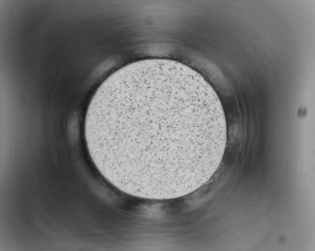 X0000102860120200809151220