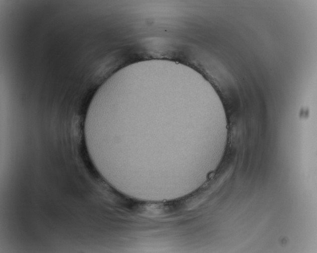 X0000102860121200809151220