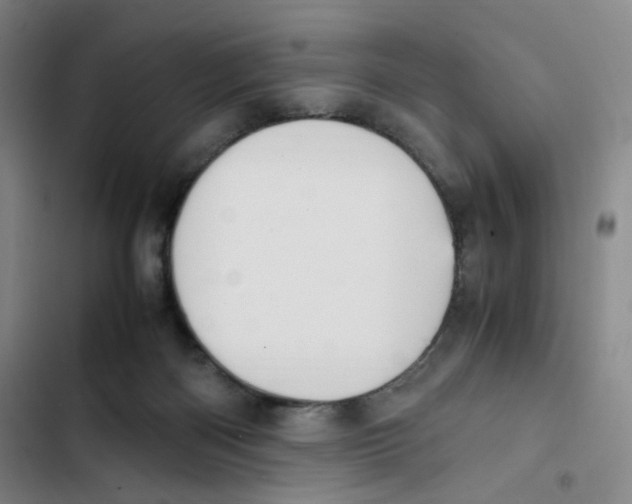 X0000102860122200809151220