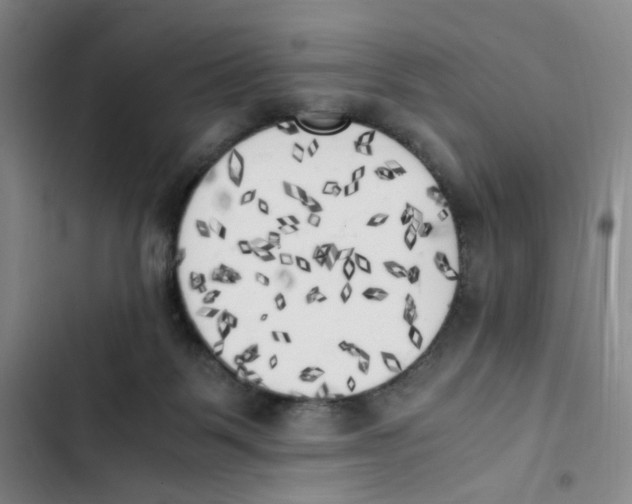 X0000102860123200809151220