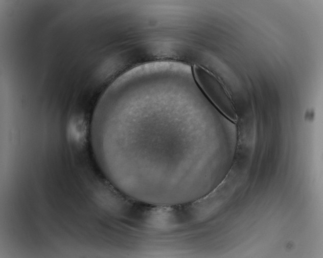 X0000102860124200809151220
