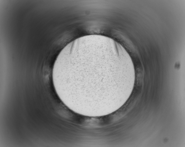 X0000102860125200809151220