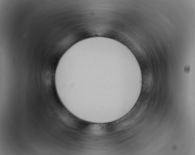 X0000102860126200809151220