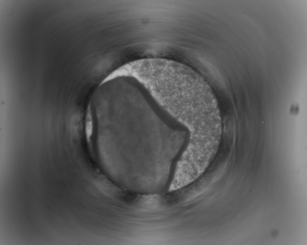 X0000102860127200809151220