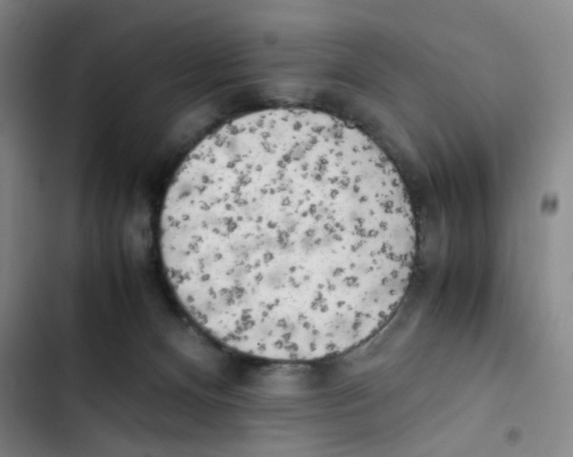 X0000102860128200809151220