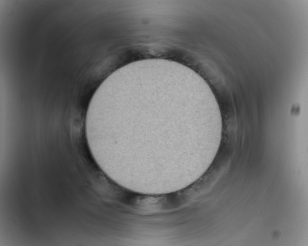 X0000102860129200809151220