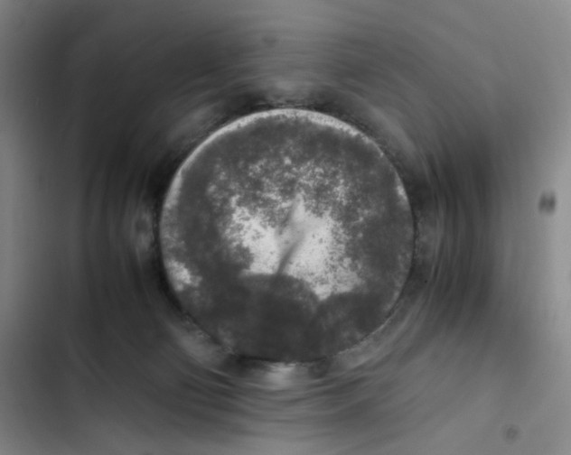 X0000102860130200809151220