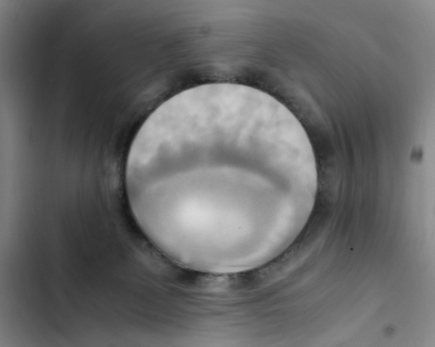 X0000102860131200809151220