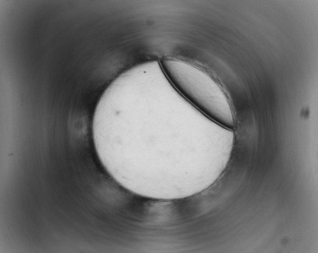 X0000102860132200809151220
