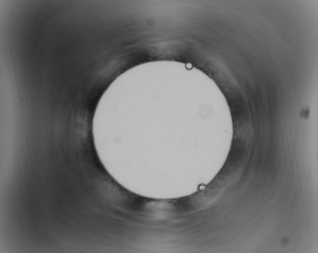 X0000102860133200809151220