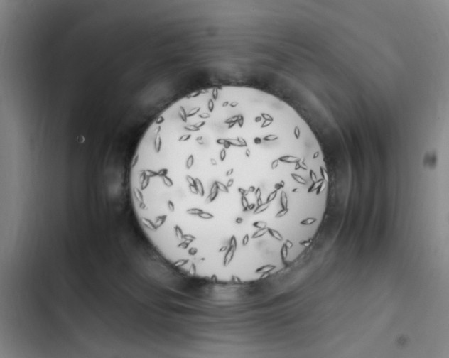 X0000102860134200809151220