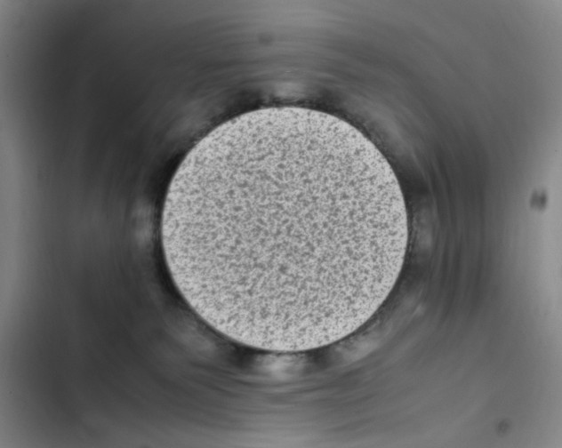 X0000102860135200809151220