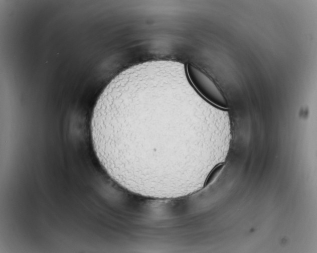 X0000102860136200809151220